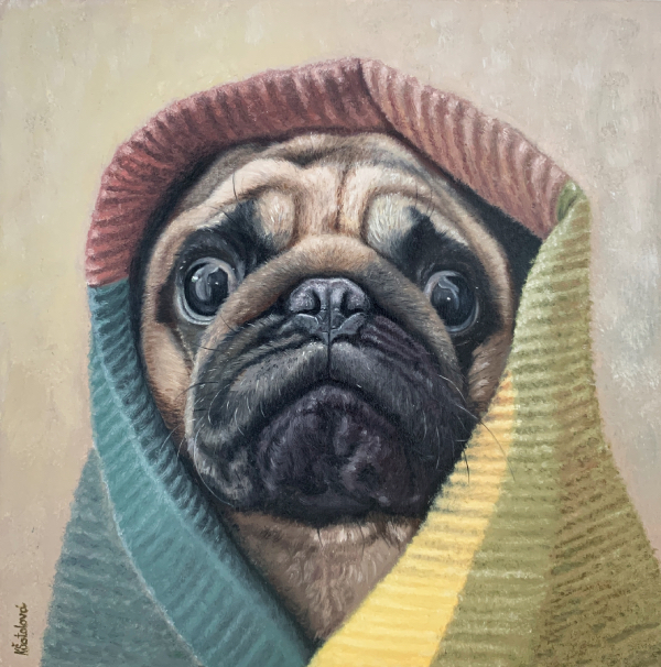 Bertík, Pug, 25x25 cm