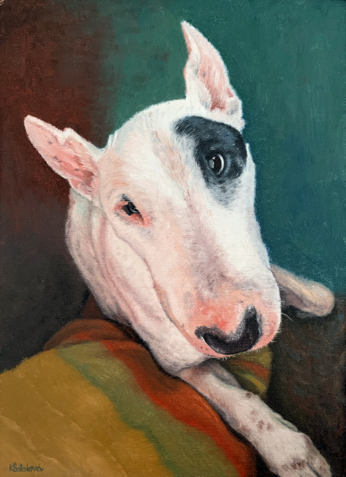 Hektor, Bull terrier, 30x22 cm