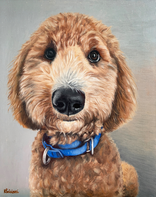 Charlie, Goldendoodle, 25x20 cm
