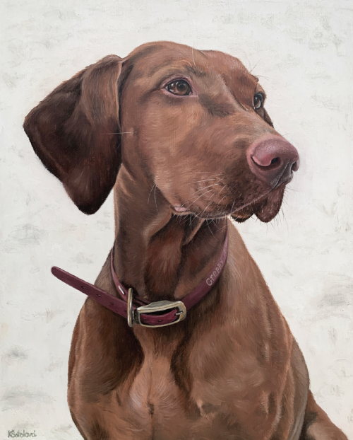 Greppy Flying od Křemence, Vizsla, 35x29 cm