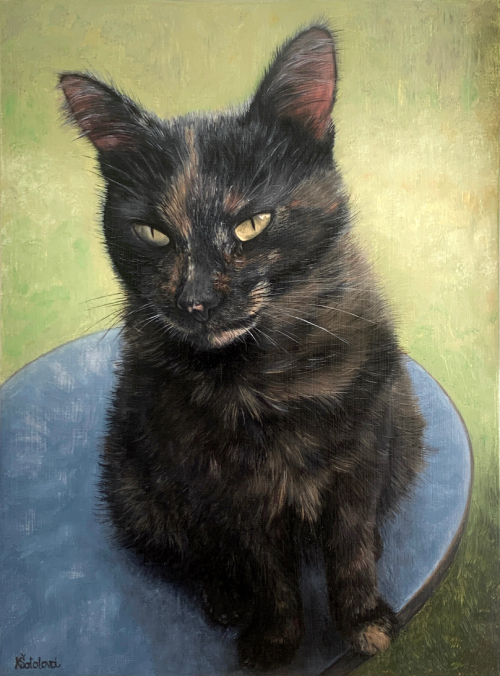 První Micka, Tortoiseshell cat, 33x24 cm