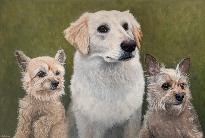 Majli & Miky & Daisy, rescued dogs, 40x60 cm