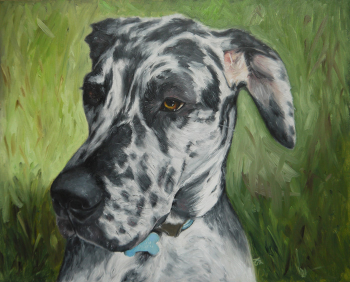 Sadie, Great dane, 20x25 cm