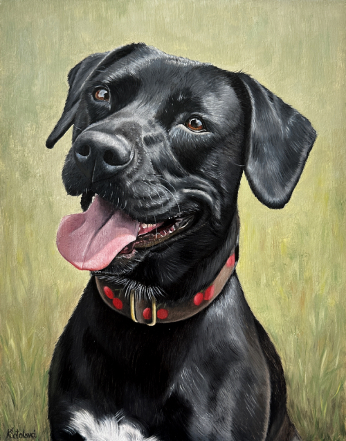 Angie, Labrador & Stafford mix, 29x23 cm