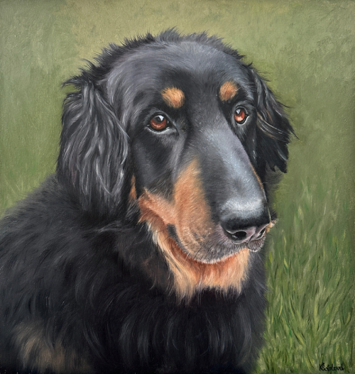 Besy, Hovawart, 31x29.5 cm