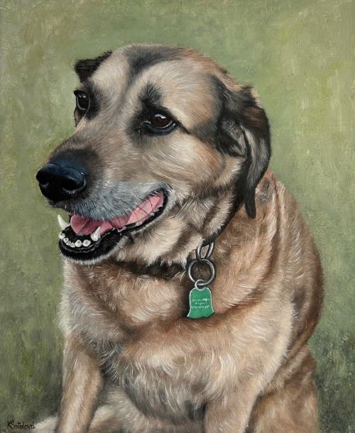 Anička, Labrador Retriever mix, 29x24 cm