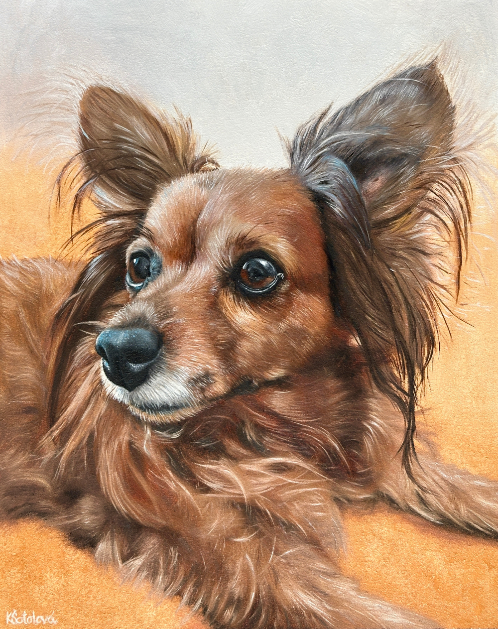 Čikina, Chihuahua, 30x24 cm