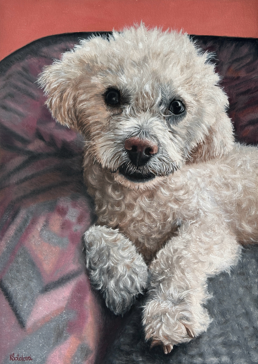 Tymísek, Bolognese dog, 35x25 cm