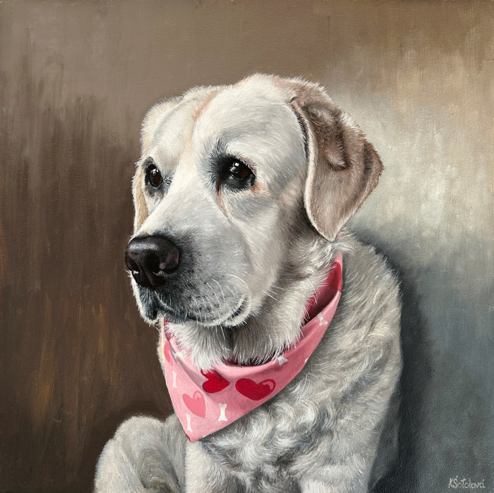 Vendulka, Labrador Retriever, 30x30 cm
