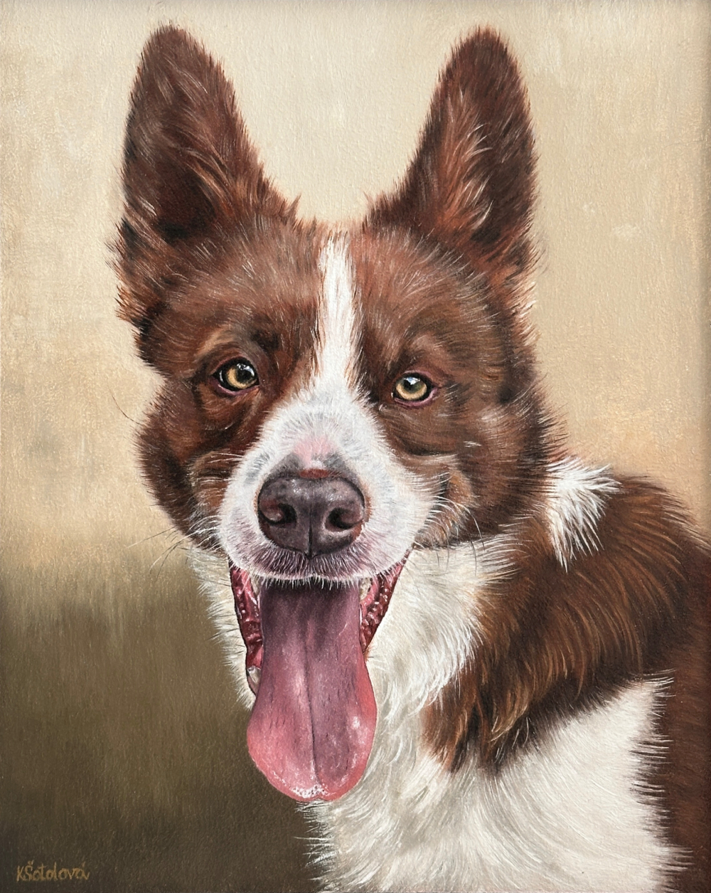 Karlík, Border Collie, 30x24 cm