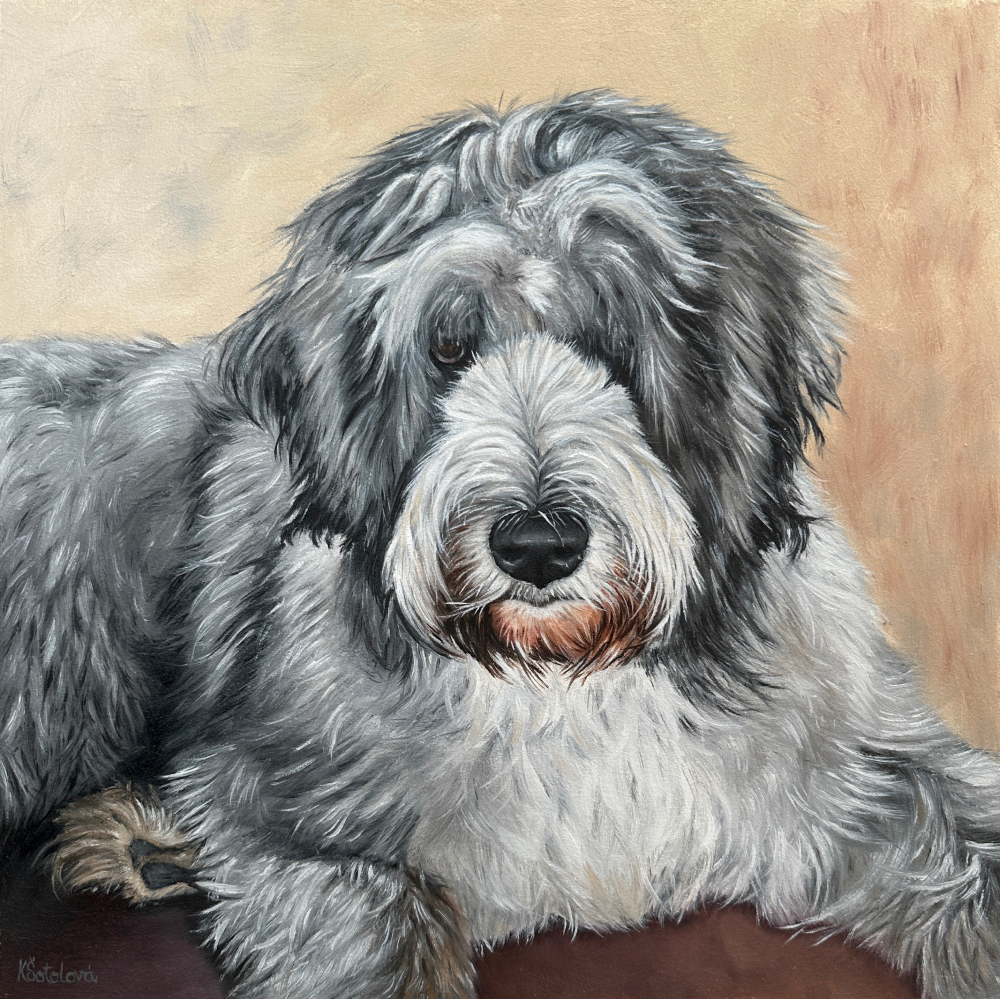 Daffy, South Russian Ovcharka, 30x30 cm