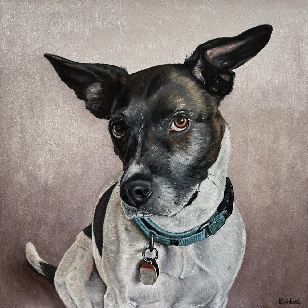 Benji, mixed breed, 30x30 cm