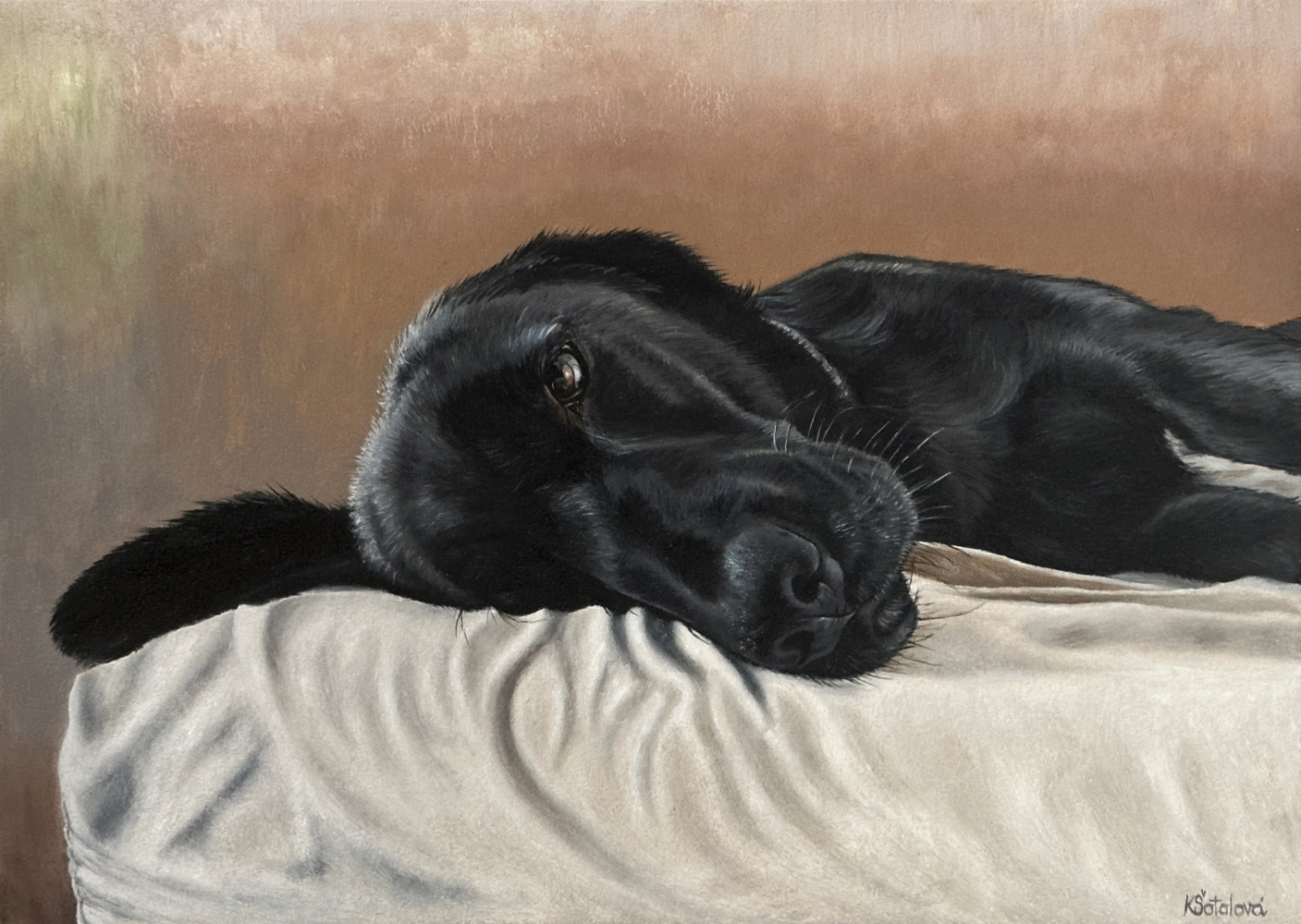 Tessa, Labrador mix, 25x35 cm