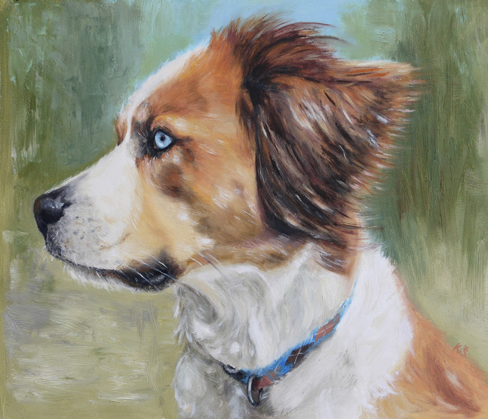 Tonka, mix breed, 23x25 cm