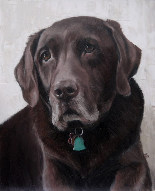 Willy Wonka, Chocolate labrador, 25x20 cm