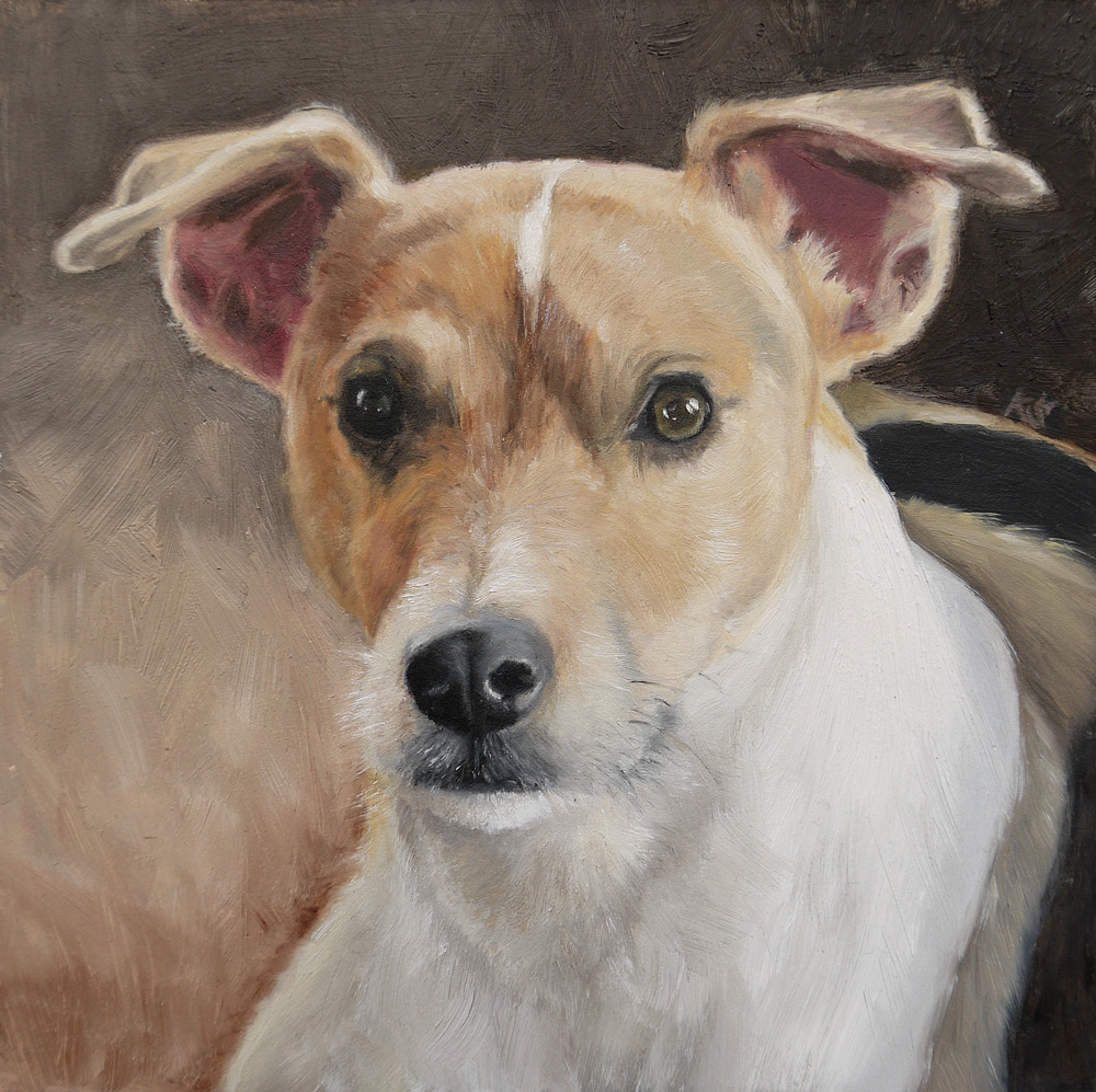 Lumpík, Parson russell terrier, 20x20 cm