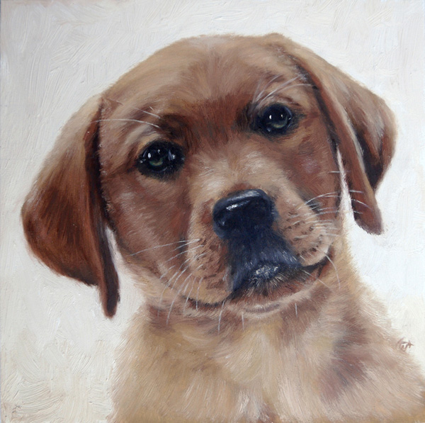 Roddy, Red labrador, 20x20 cm