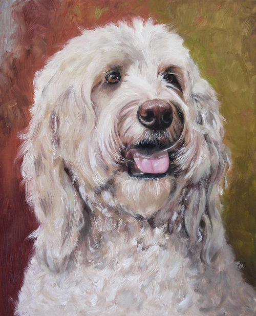 Bailey, Goldendoodle, 25x20 cm