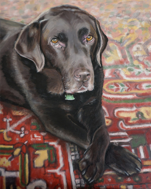 James Brown, Chocolate labrador, 35x28 cm