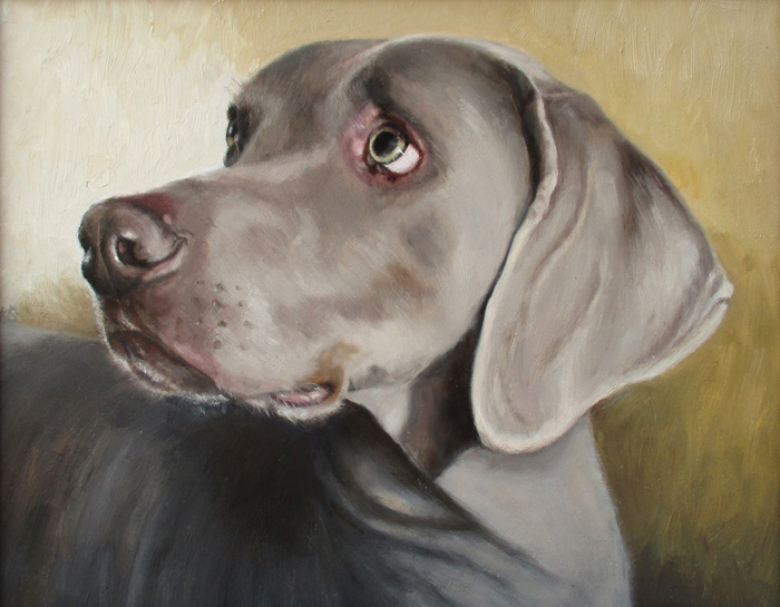 Sammy Crackers, Weimaraner, 20x25 cm