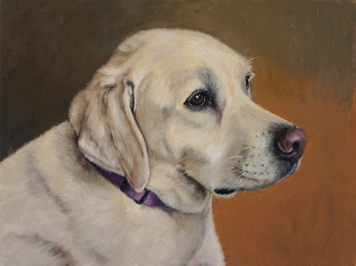 Katama, English yellow labrador, 23x30 cm