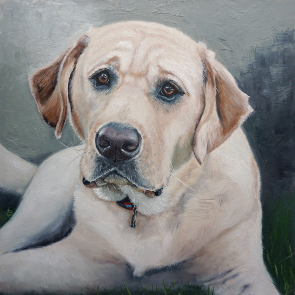 George, English yellow labrador, 25x25 cm