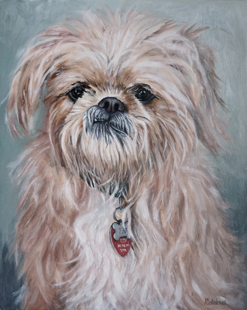 Tova, Brussels Griffon & Shih Tzu mix, 25x20 cm