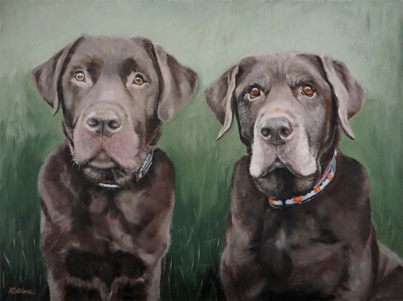 Stan & Tuck, Chocolate labradors, 30x40 cm