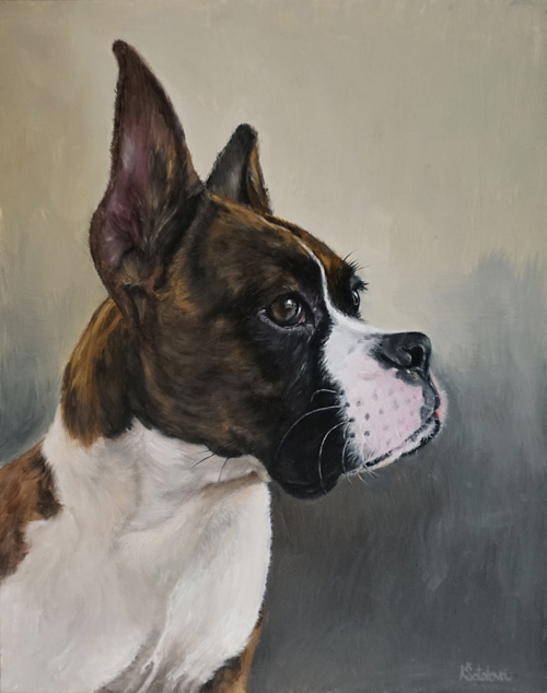 Tucker, Boxer, 25x20 cm