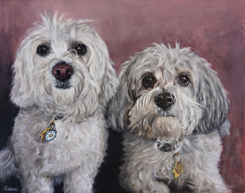 Knut & Tomte, Coton de Tullear, 28x35 cm