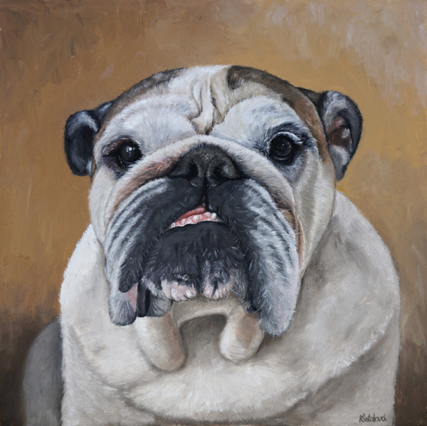 Simone, Bulldog, 30x30 cm