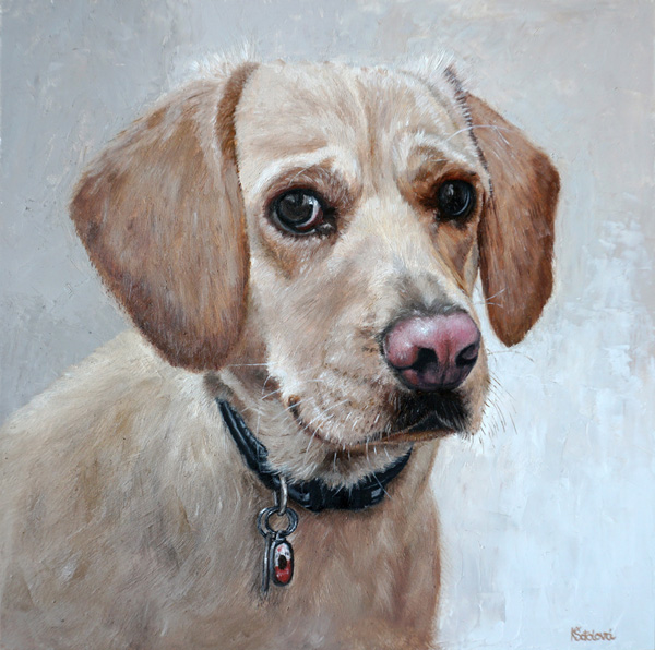 Casey, mix breed, 25x25 cm