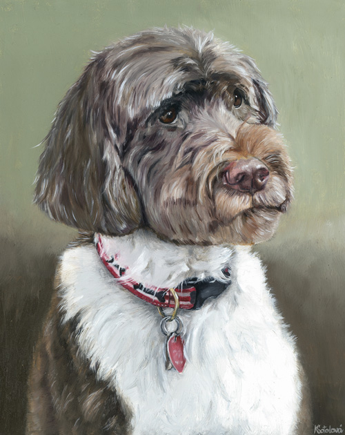 Figo, Portuguese water dog, 25x20 cm