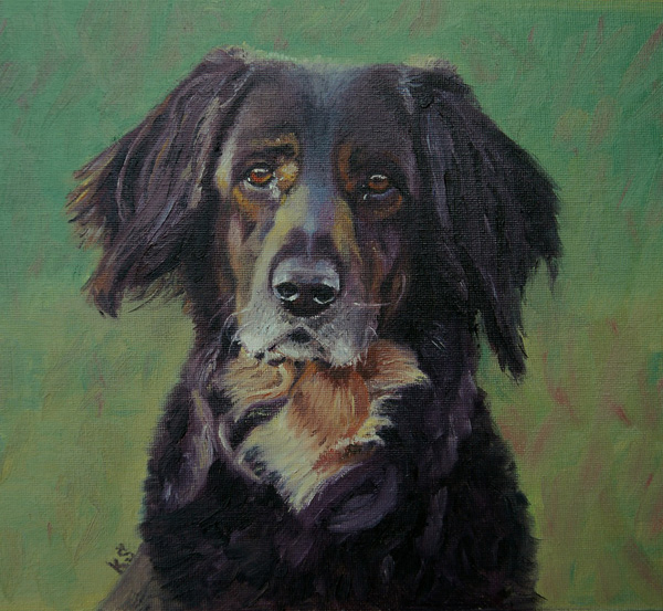 Arna, Hovawart, 23x23 cm