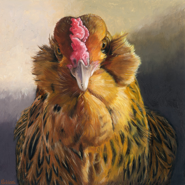 Chubby Cheeks, Ameraucana chicken, 20x20 cm