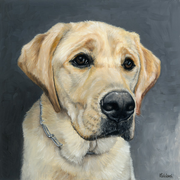 Somo, Yellow labrador retriever, 25x25 cm