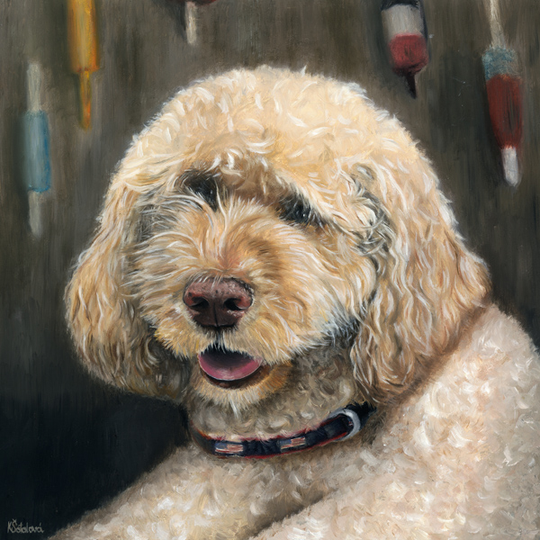 Boomer, Labradoodle, 25x25 cm