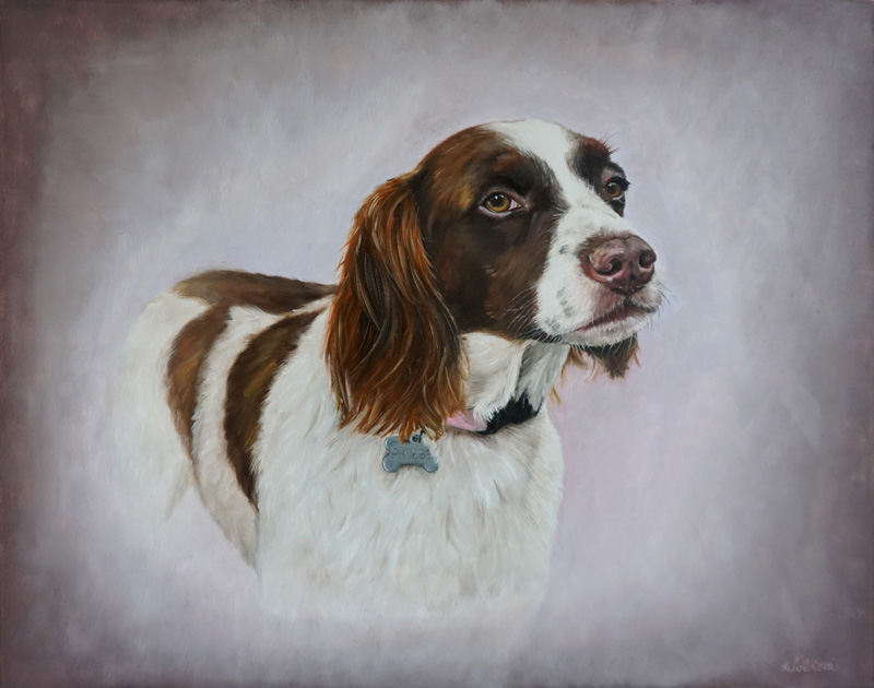 Phoebe, Brittany Spaniel American, 41x51 cm