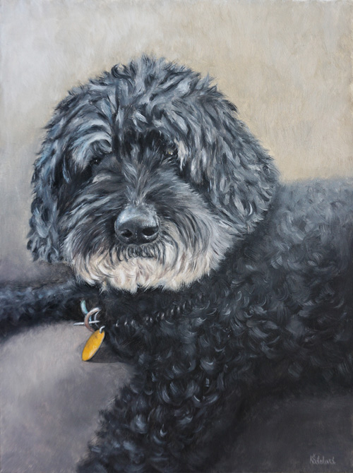 Jigger, Moyen poodle, 30x23 cm