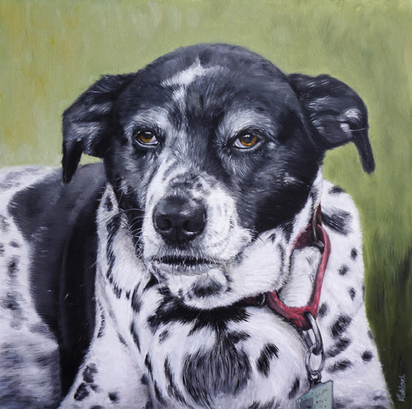 Izzy, mix breed, 25x25 cm
