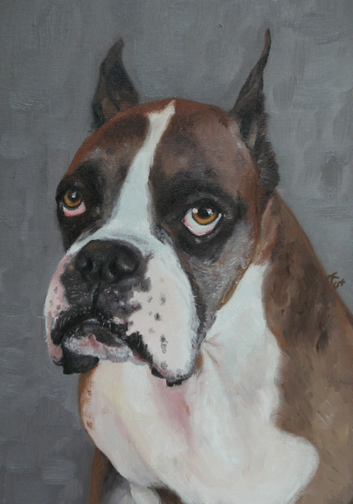 Otis, Boxer, 28x20 cm