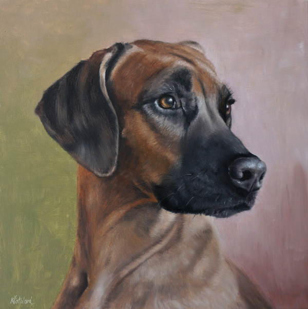 Sunshine, Rhodesian ridgeback,  25x25 cm