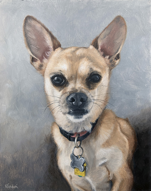 Neil Diamond, Chihuahua, 25x20 cm