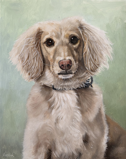 Cody, Dachshund, 25x20 cm