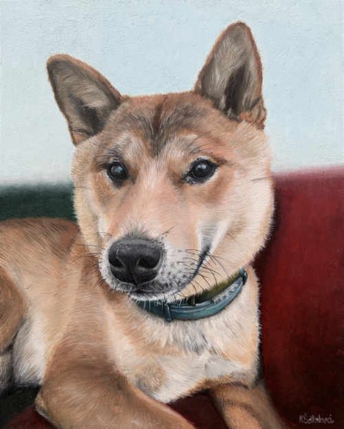 Loki, Shiba Inu, 25x20 cm