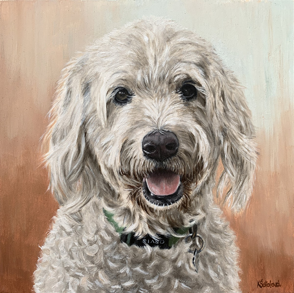 Charlie, Goldendoodle, 20x20 cm