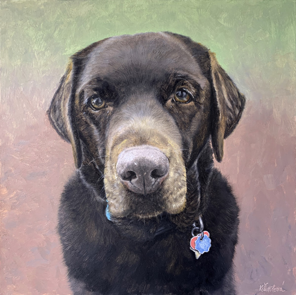 Maisy, Chocolate labrador, 25x25 cm