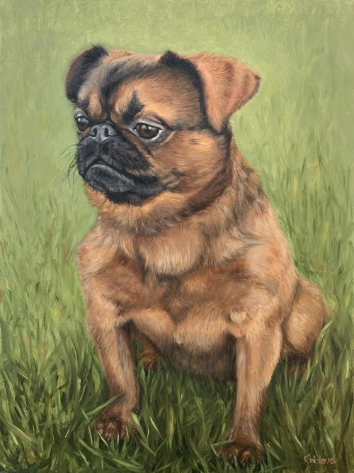 Maiki, Petit Brabancon, 30x23 cm