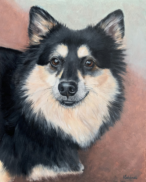 Mischa, Pomeranian & Shiba Inu mix, 25x20 cm