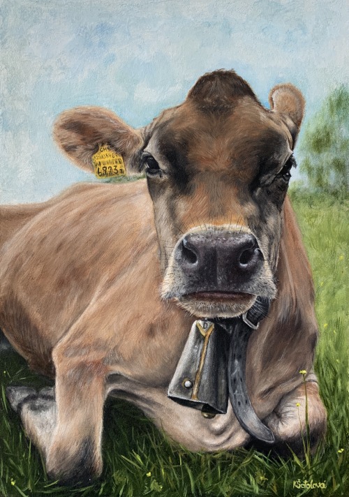 Swiss, 33x23 cm
